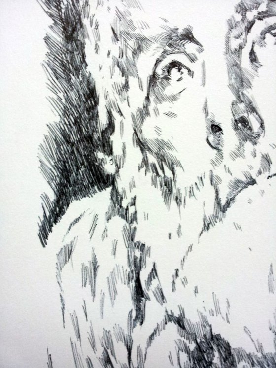 St Peter (After El Greco)