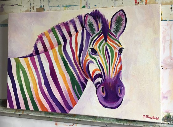 Rainbow Zebra