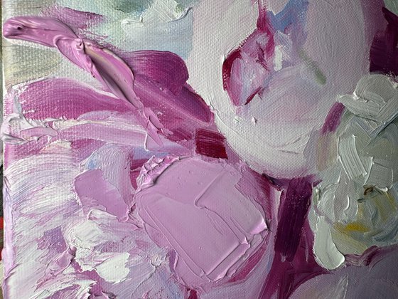 Peonie pink and white