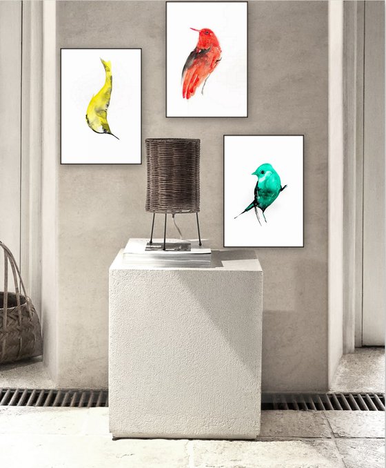 Birds