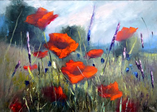 Poppy meadow by Elena Lukina