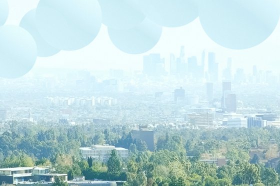 La La Land