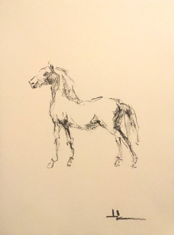 Horse Study inspired by Gericault