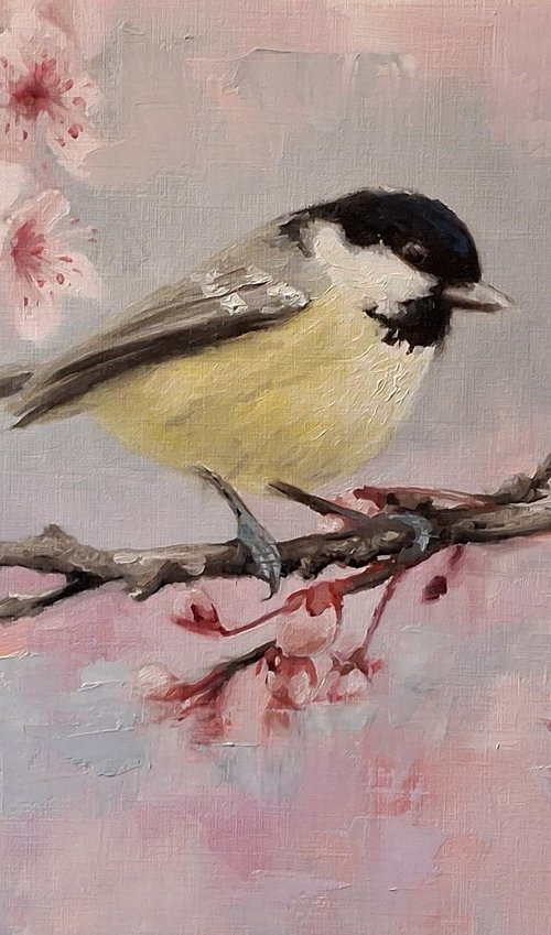 The Coaltit (Spring Blossom) 001 by Steffan Johnson