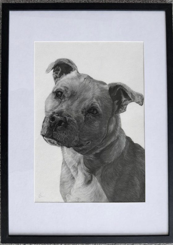 Commissioned Pet Portrait A3 (297 × 420 mm)