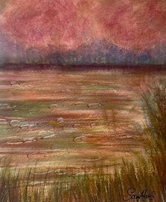 River Cerne blossoms, Dorset