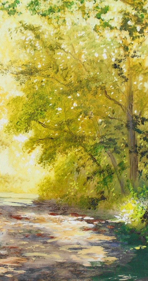 Sunlit Path by Rod Bere