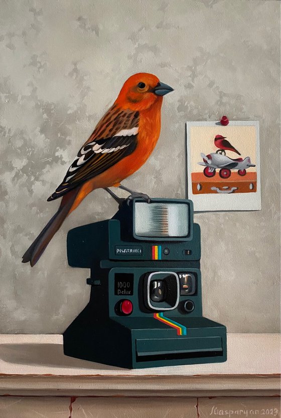 Still life with bird and polaroid