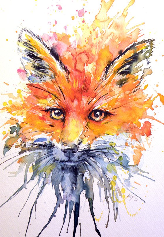 Red fox