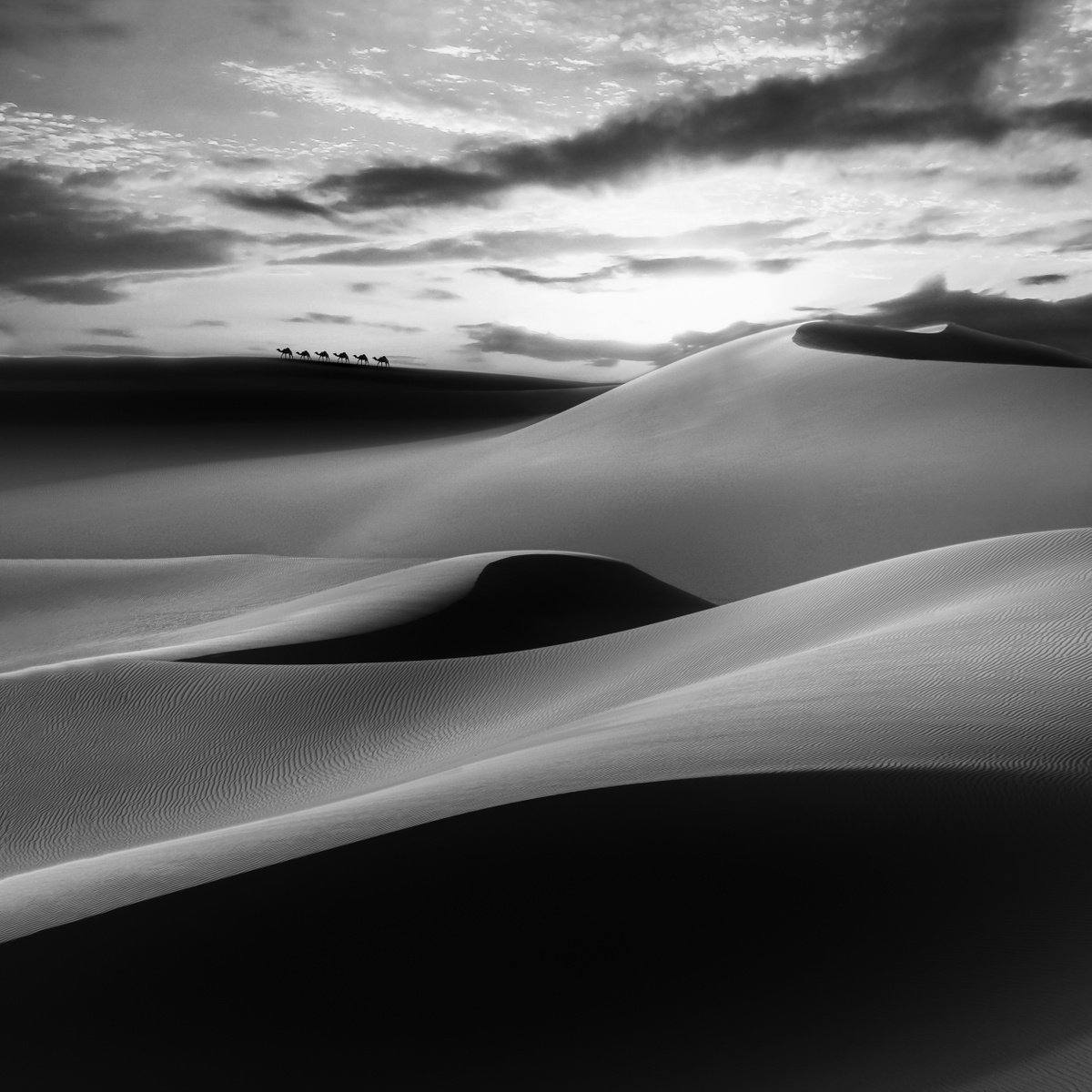 CARAVAN...Ready to hang, limited edition photograph made in the Arabian Desert by Harv Greenberg