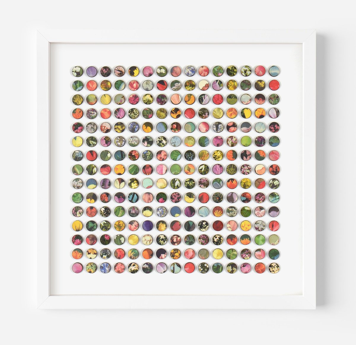 Geometric Botanical Collage By Amelia Coward, 11 X 11, Floral Garden, Original Artwork