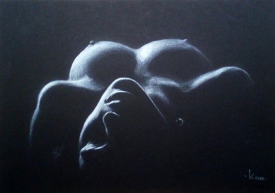 Nude noir #272 (29X21)cm