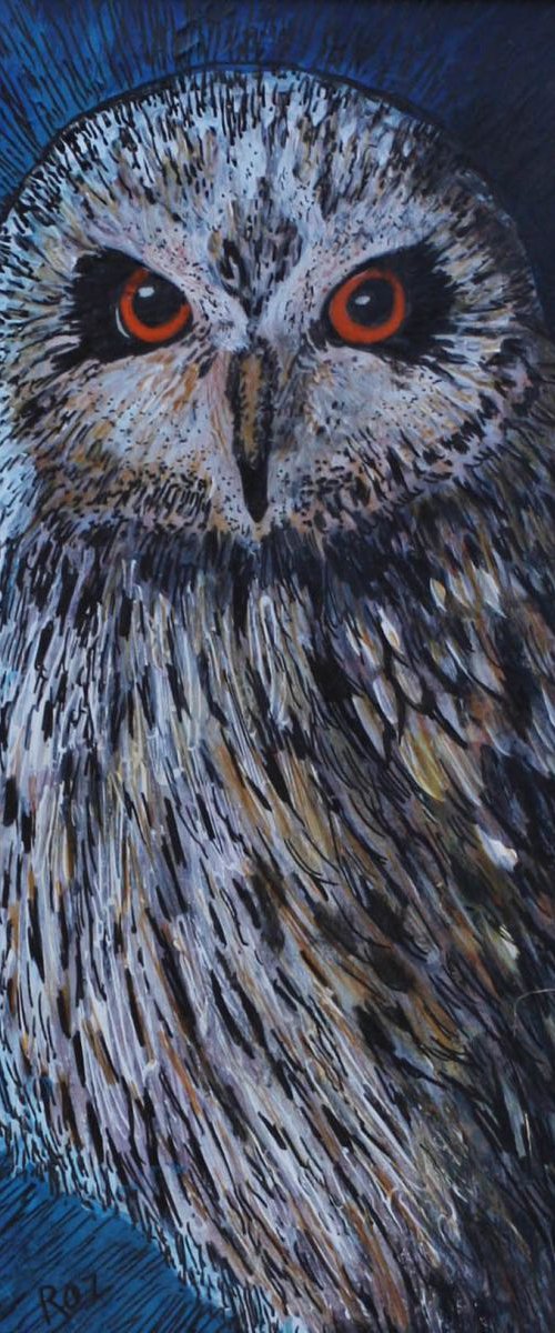 Owl by Roz Edwards