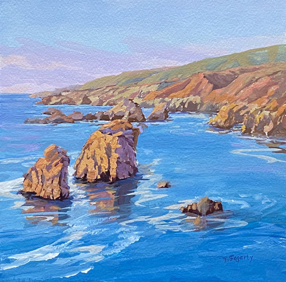 Afternoon Light At Garrapata Soberanes Point by Tatyana Fogarty