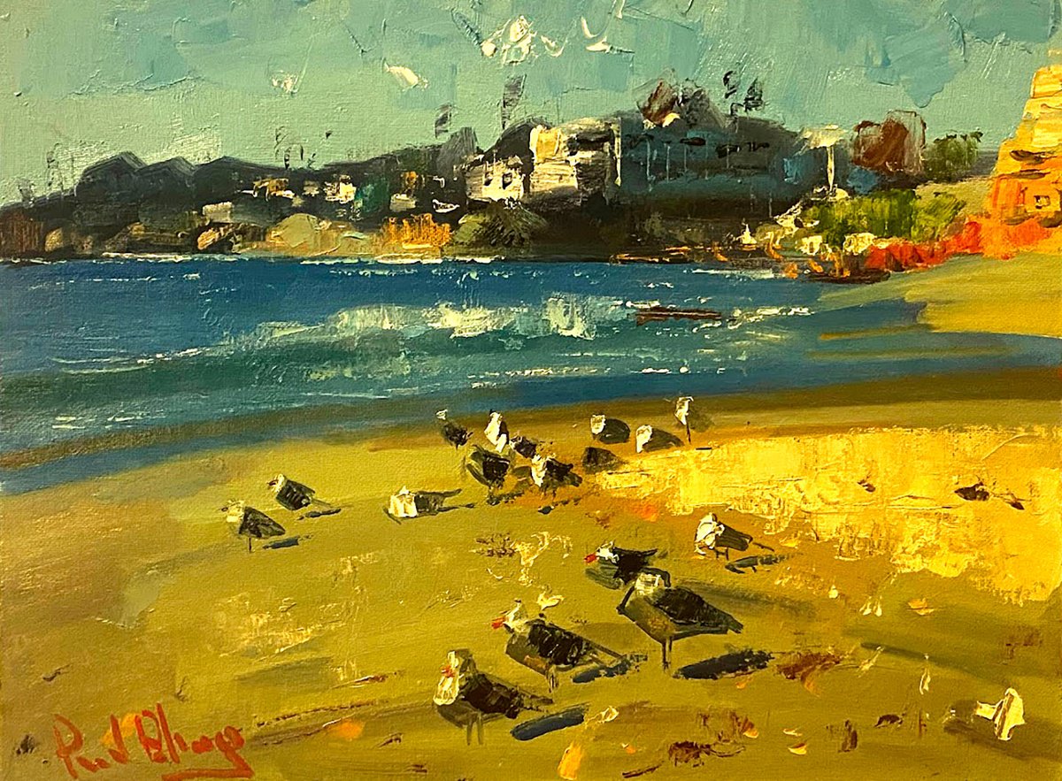 Laguna Beach Seagulls by Paul Cheng