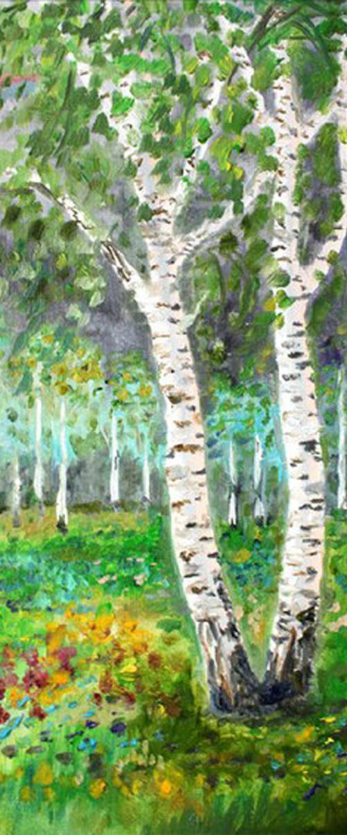 Birch Grove by Luba Ostroushko