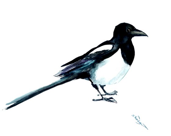 Magpie Bird Watercolor Painting