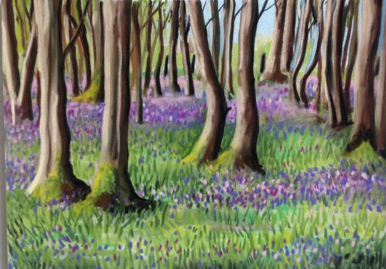 Bluebell woods No 2
