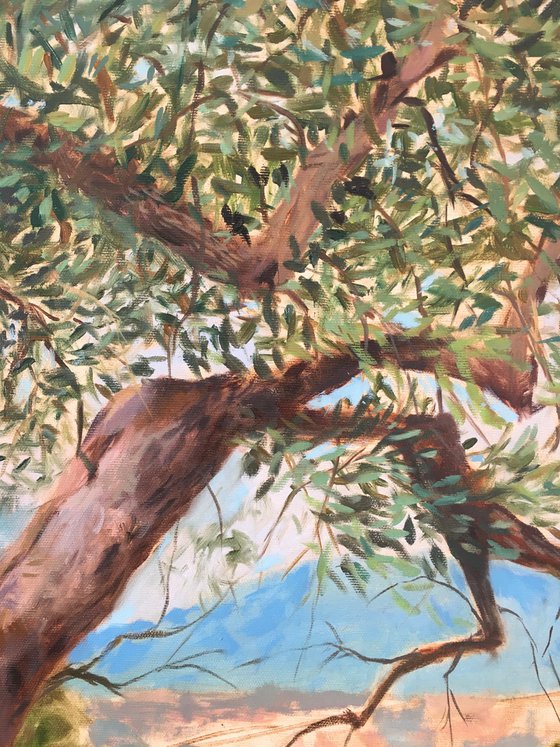 Olive Trees, Israeli landscape, Realistic art