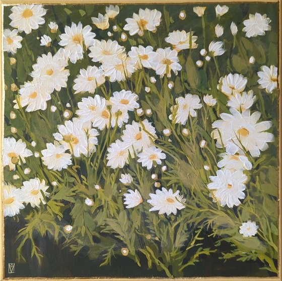 Daisies, "Moments" series