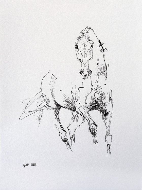 Equine Nude 22a