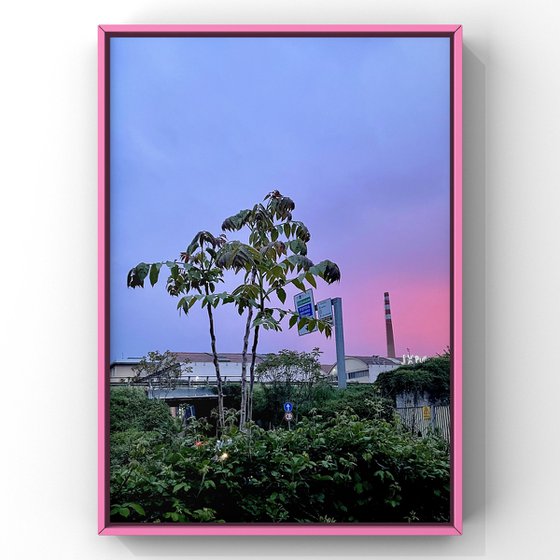NT#118 pink sunset