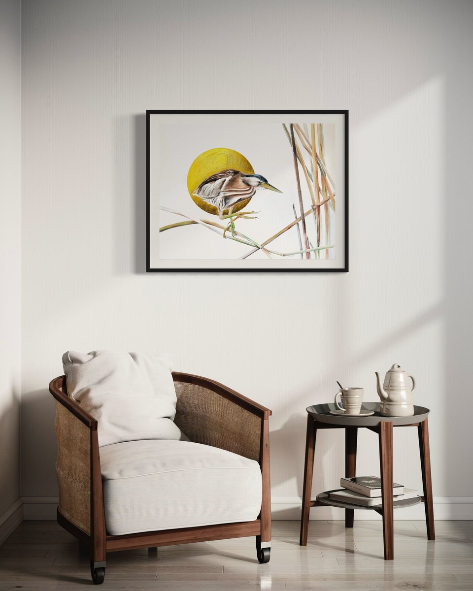 Photorealistic Animal Watercolour By Julia Gorislavska, 22 X 17", Little Bittern, Original Artwork