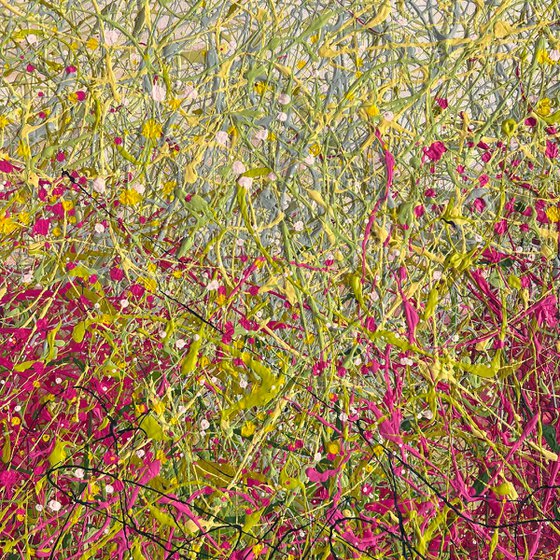 Dreaming Blooms