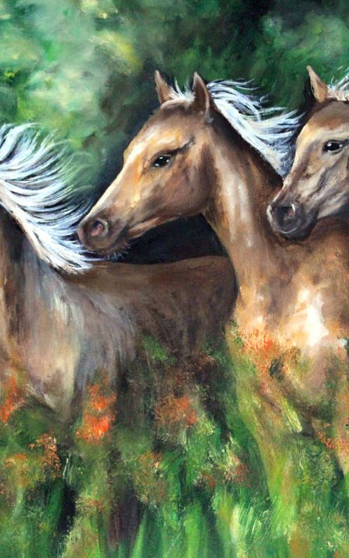 Arabian Horses by Kate Lesinska