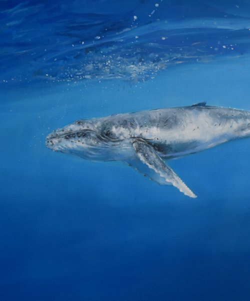 the joy of freedom by Trevor Salisbury