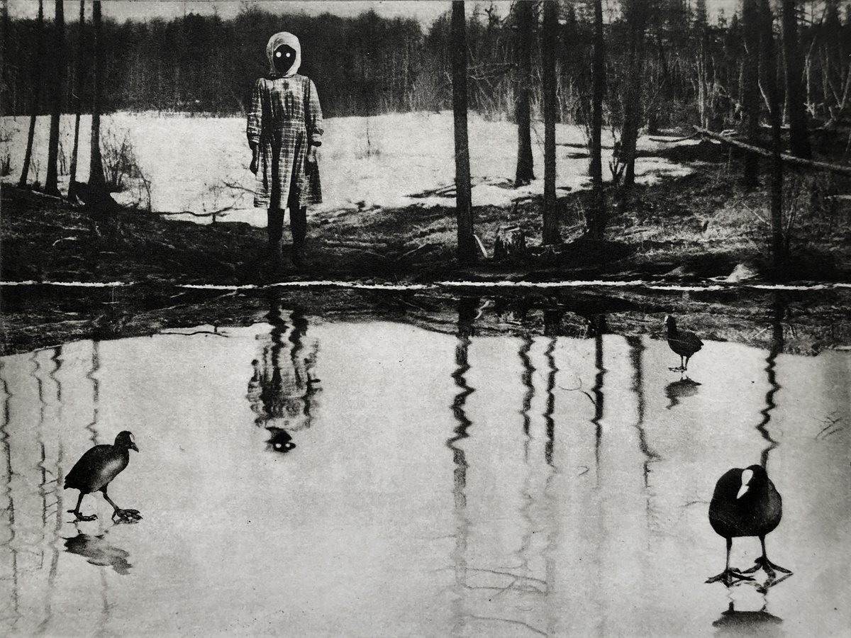 Surrealistic Animal Etchings & Engravings By Jaco Putker, 13 X 10, On The Far Bank Acros The Lake, Original Artwork