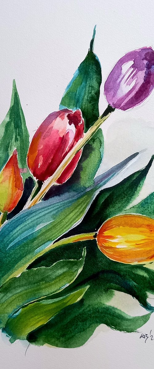 Tulips by Kovács Anna Brigitta