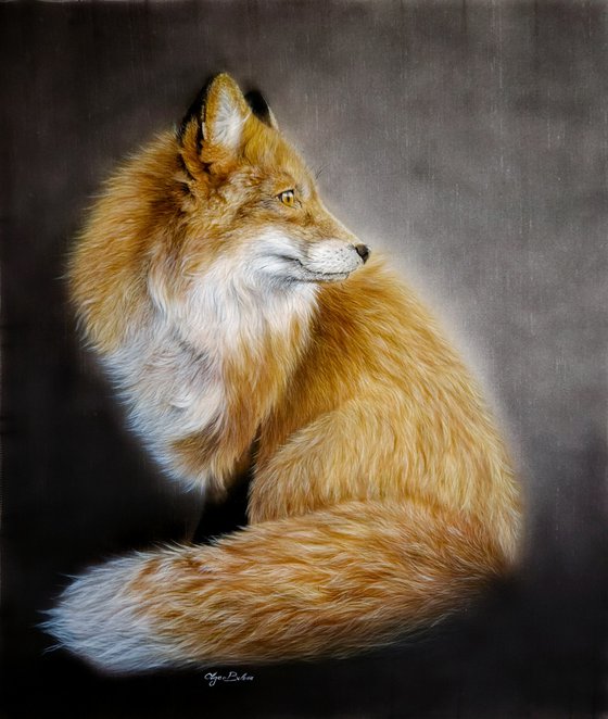 Red fox