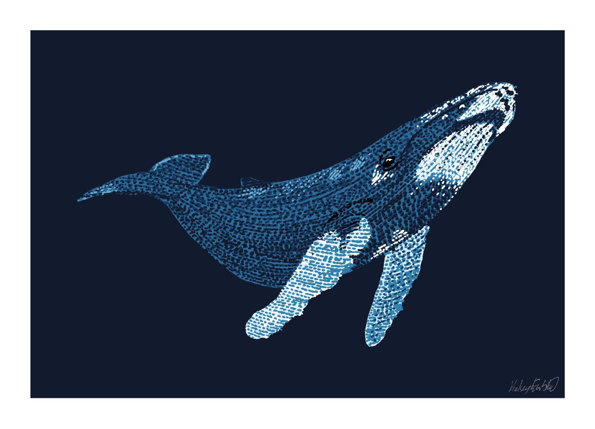 Humpback Whale - Stippling Illustration by Kelsey Emblow