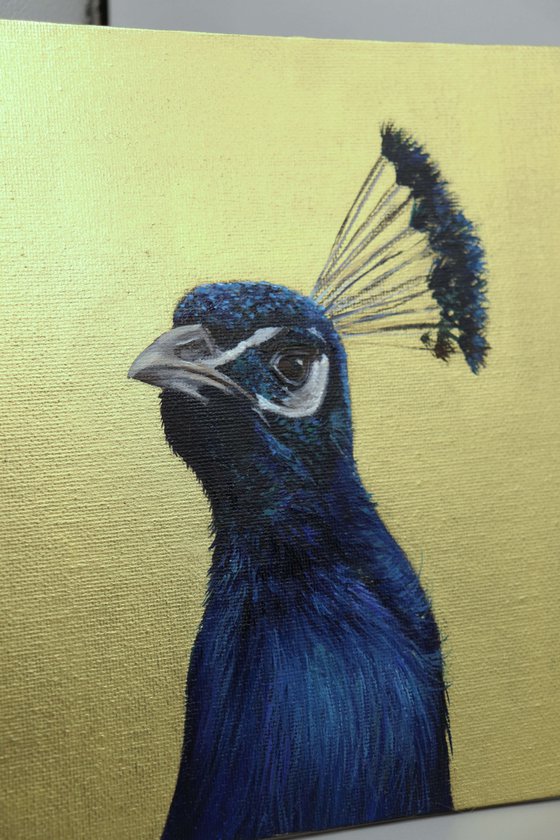 Peacock Portrait III