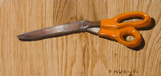 scissors on parquet plank