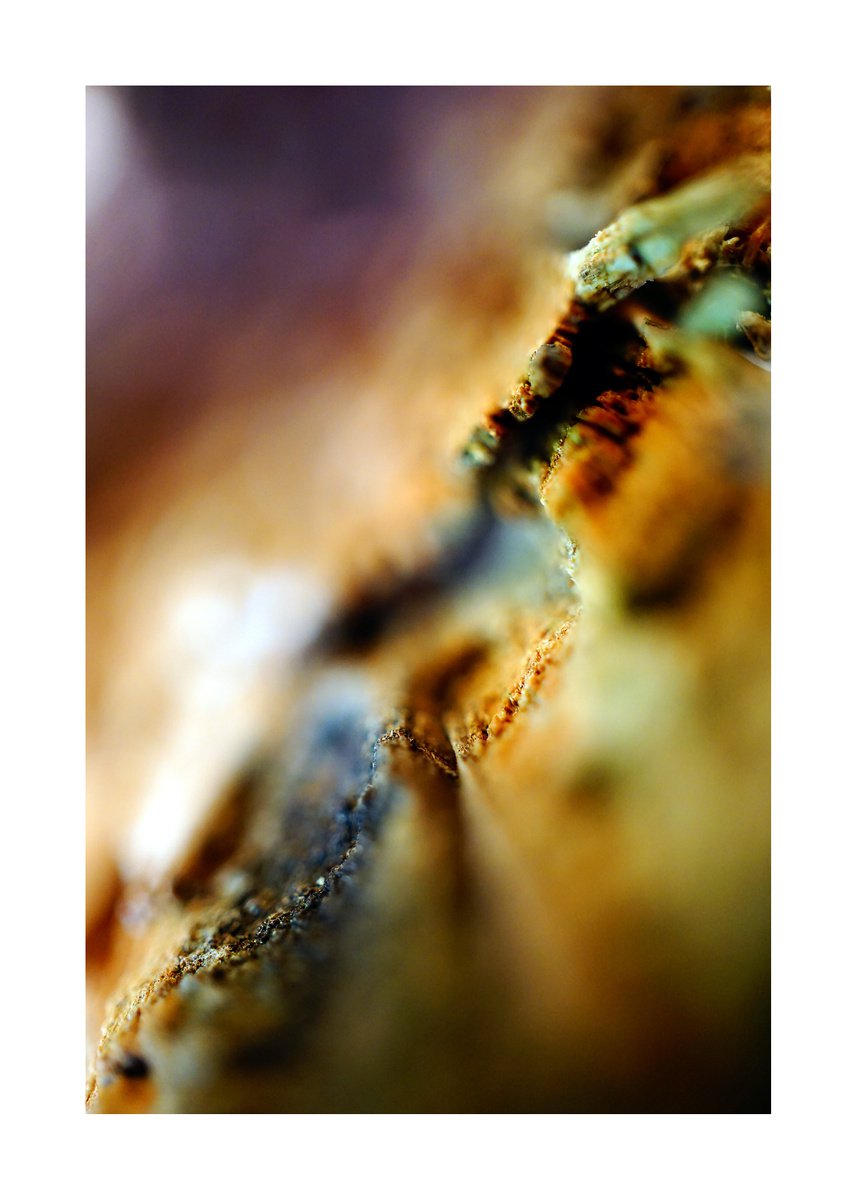 Abstract Nature Photography 176 (LIMITED EDITION OF 15) by Richard Vloemans