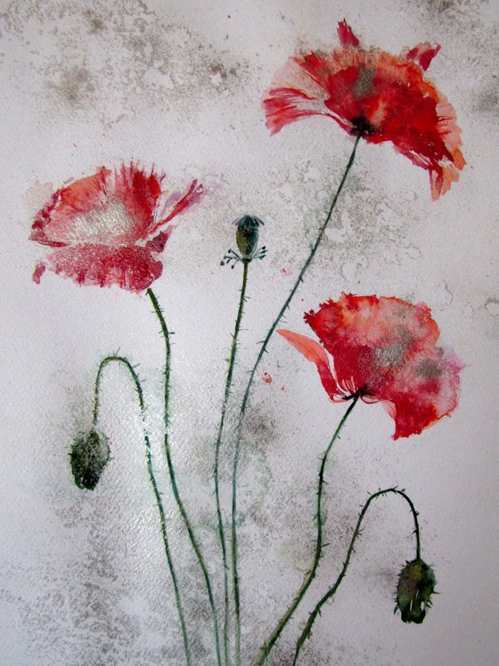 Poppies in silver