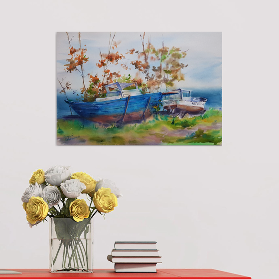Boats on the shore