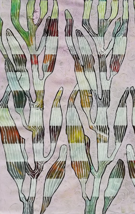 Seaweed 2
