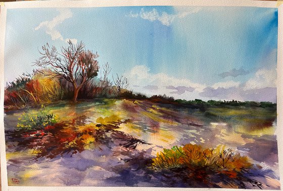 Autumn dunes