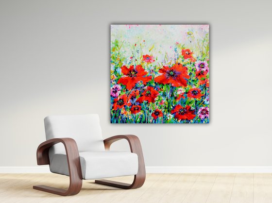 Papaveri Orientali Poppy Oriental Red Poppies