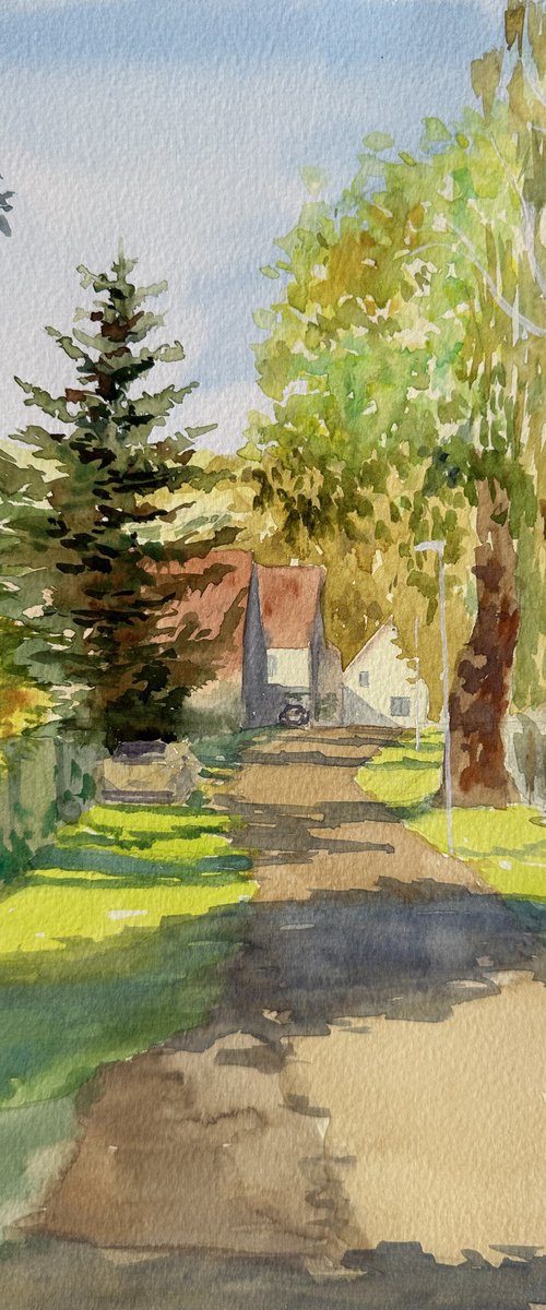 Sunny Country Street by Oleksandra Padushyna