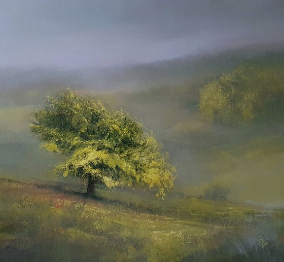 " Light Green in Misty Vail - 2 "