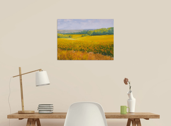 Sunflowers field