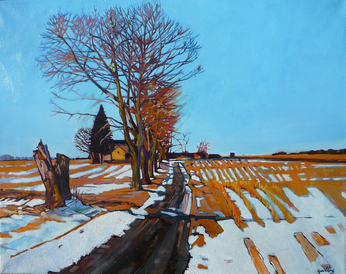 Fields In Winter. by Julie Goulding