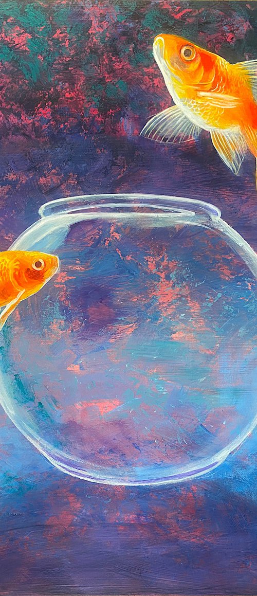 Goldfish LIV by Daniel Loveday