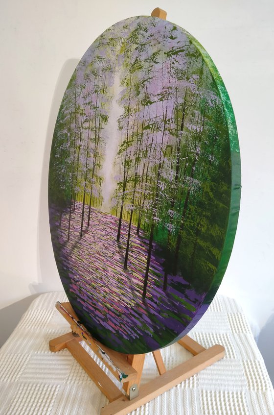 Evergreen Glade