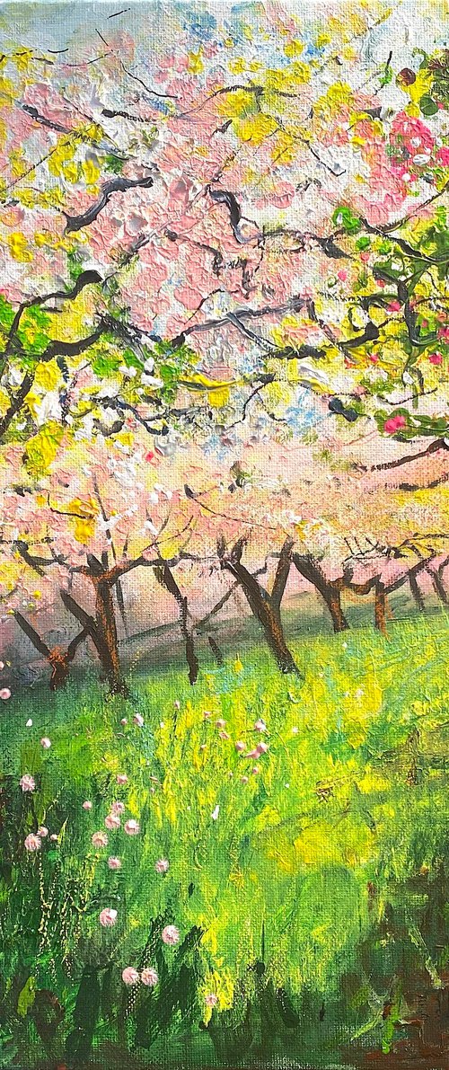 Pink Orchard blossom Spring by Teresa Tanner