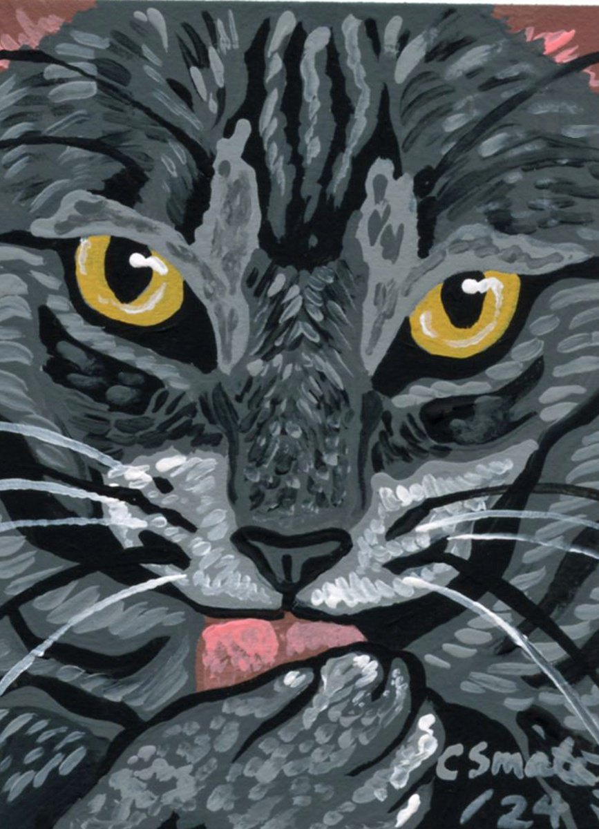 Gray Tabby Cat by Carla Smale